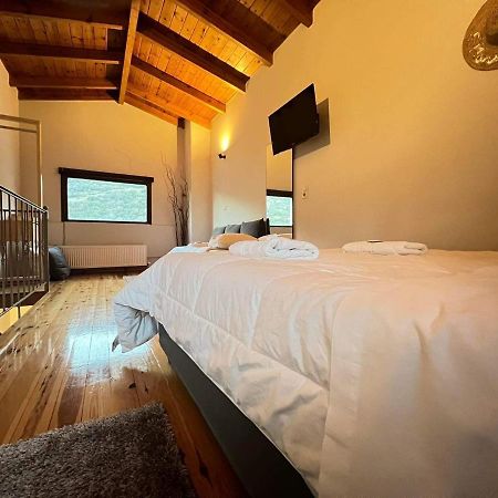 Guesthouse Mouses Kalavryta Extérieur photo