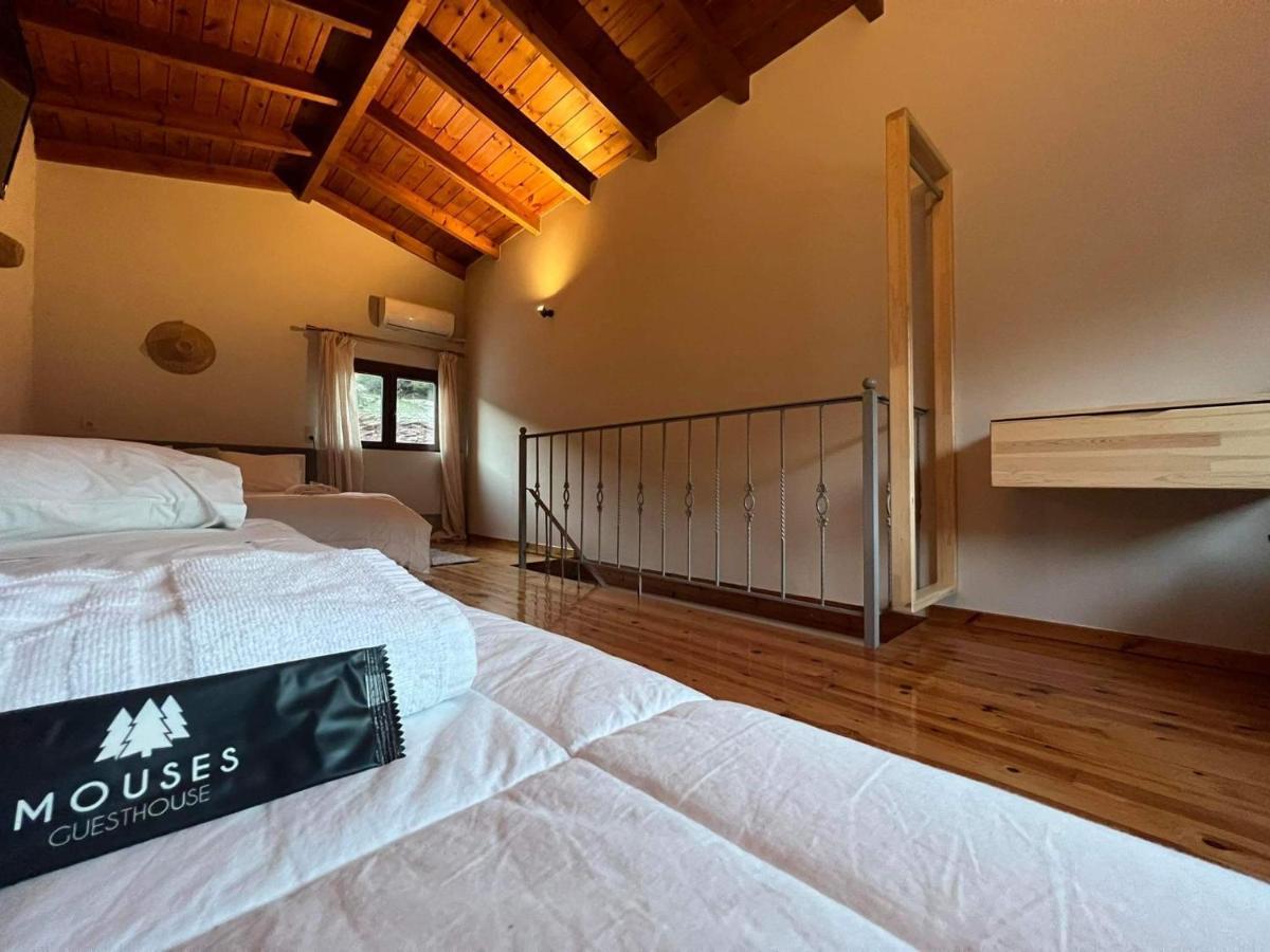 Guesthouse Mouses Kalavryta Extérieur photo